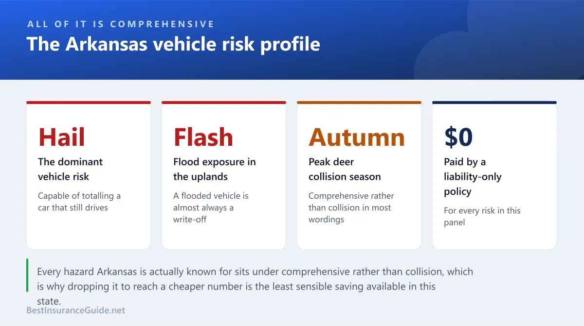Statistics panel showing the Arkansas vehicle risk profile, covering hail, wind, deer collisions and flooding