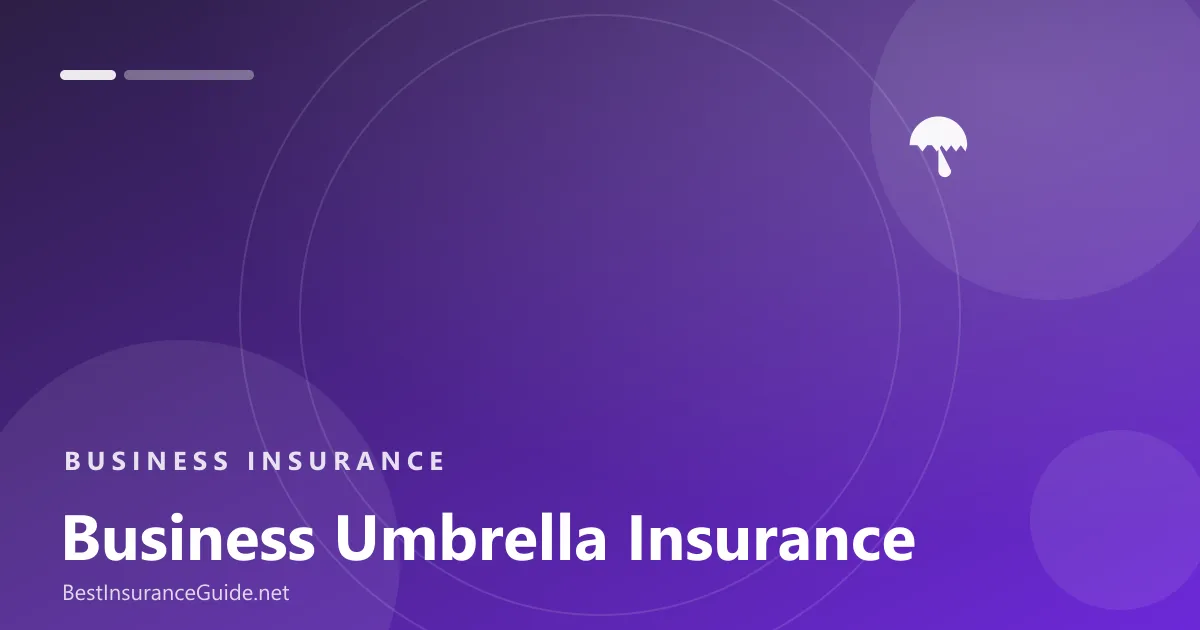 Business umbrella insurance banner