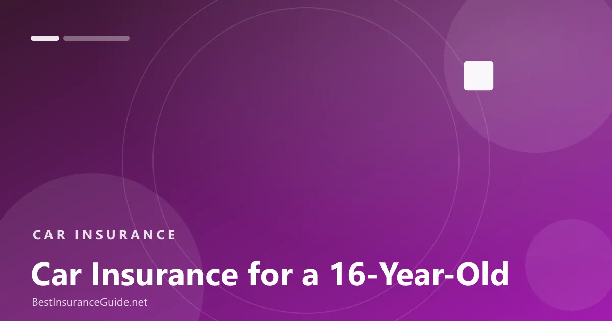 Car insurance for a 16 year old banner
