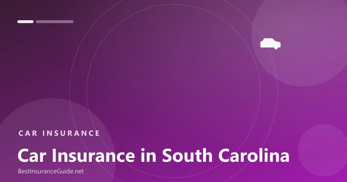 Car insurance in South Carolina banner