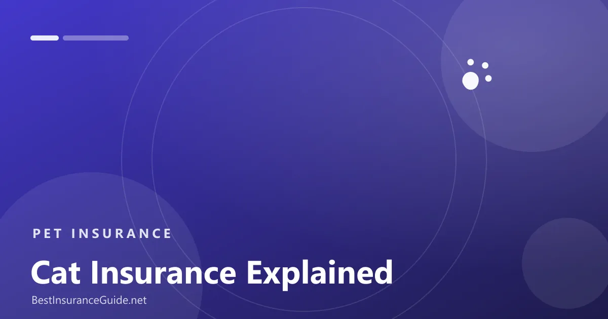 Cat insurance explained banner