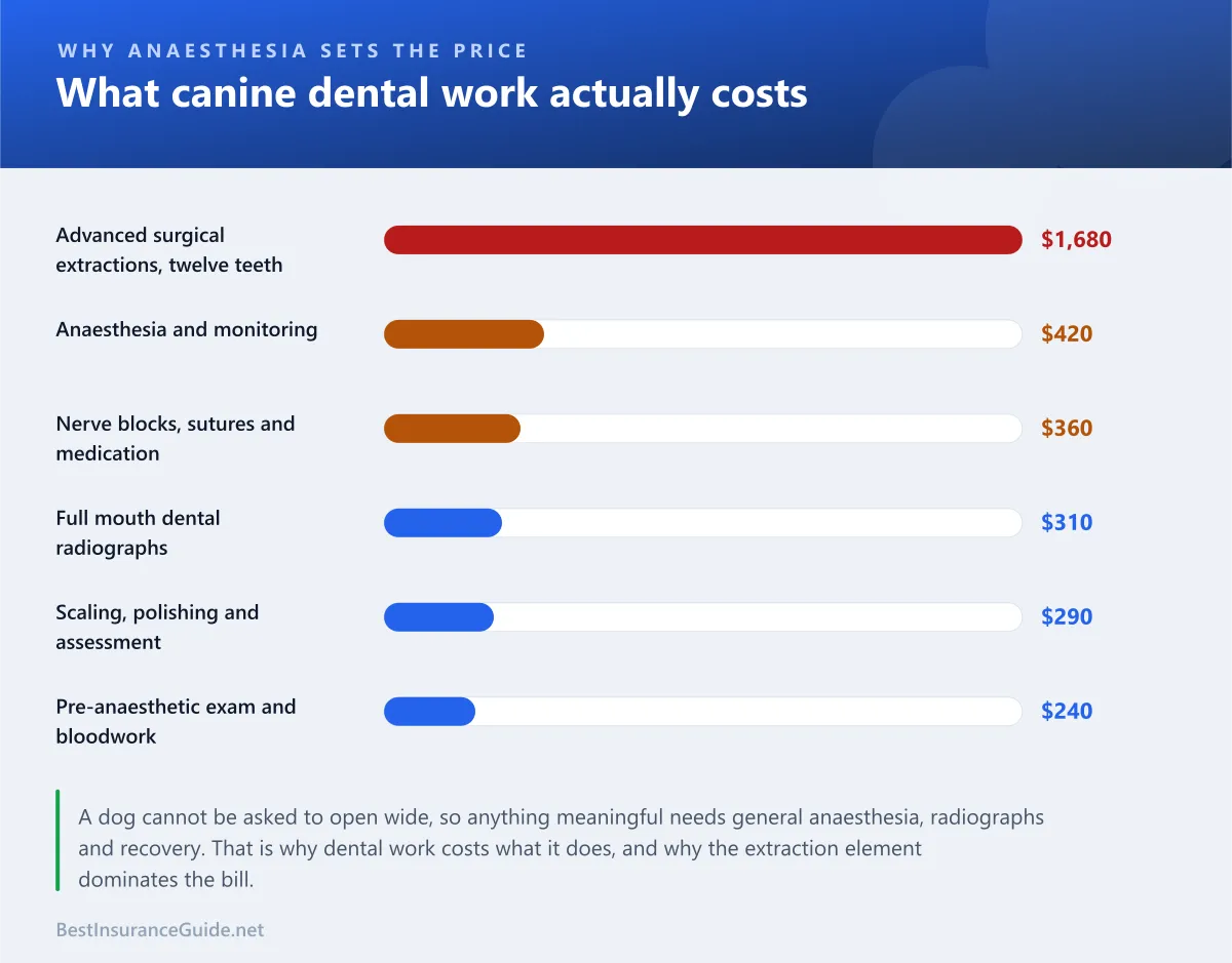 Bar chart comparing the cost of a routine dental cleaning, extractions, and advanced dental surgery in dogs