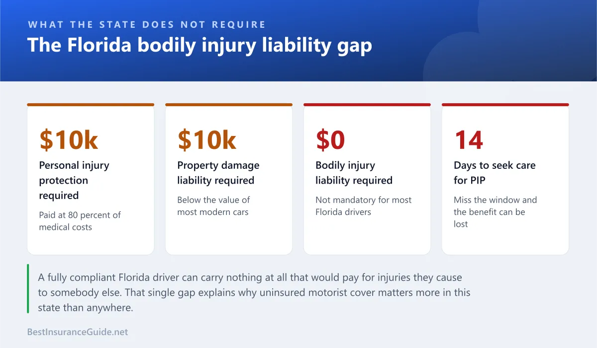 Statistics panel showing the Florida minimum requirements and the bodily injury liability gap they leave open