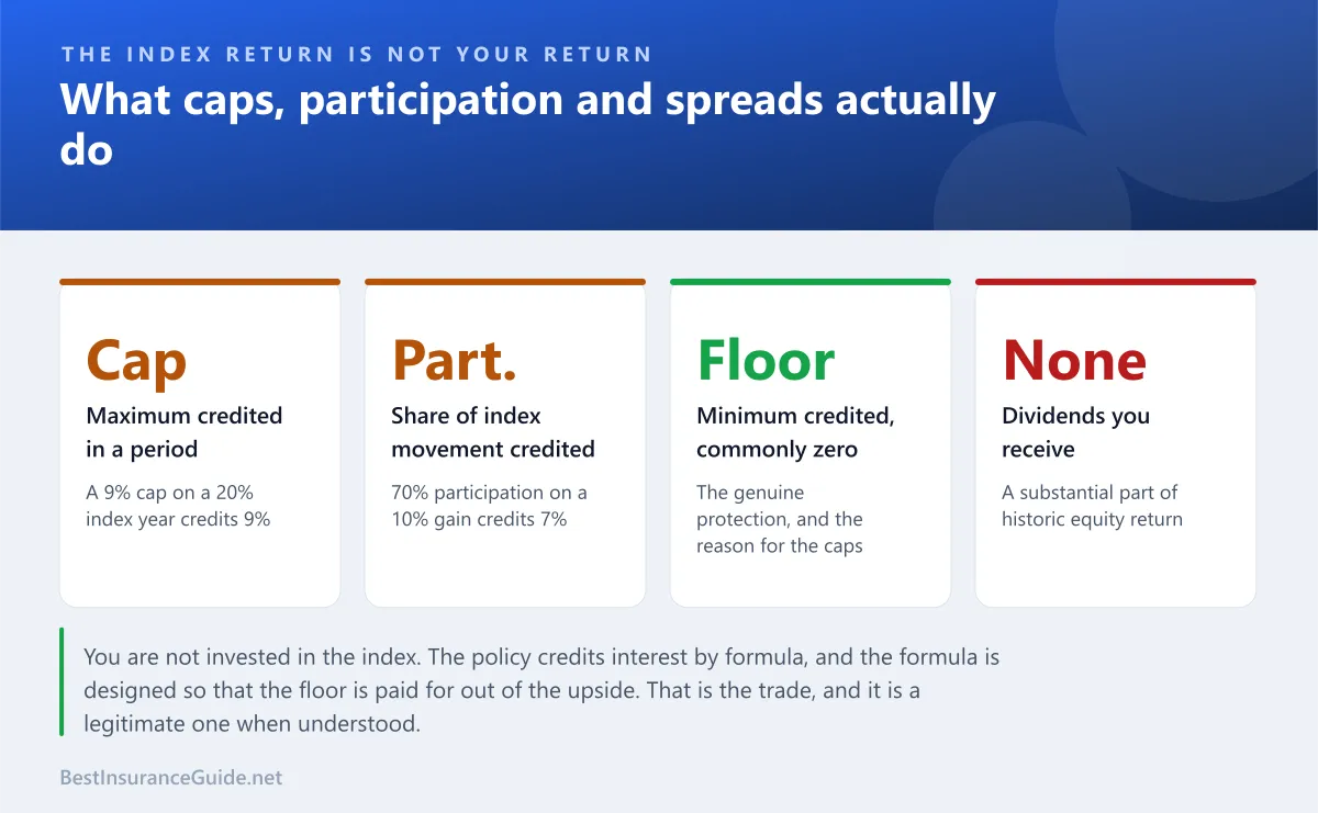 Statistics panel showing how caps, participation rates and floors change the credited return compared with the index movement