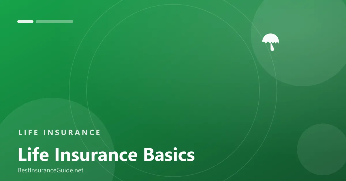 Life insurance basics guide banner