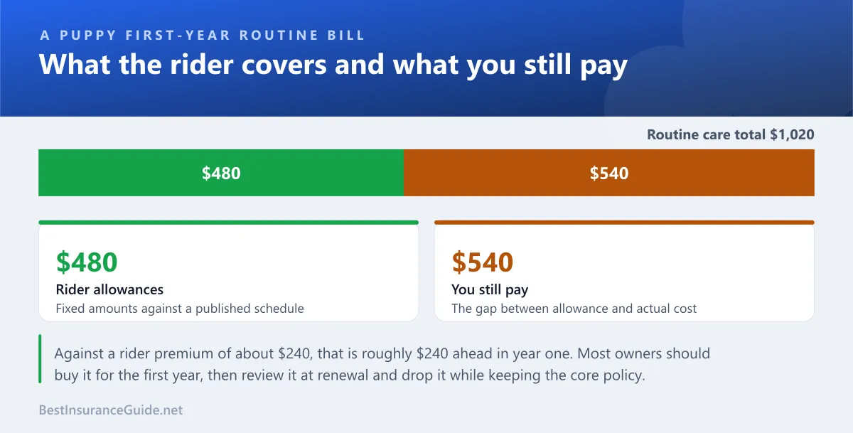 Split showing how a first-year routine care bill divides between what a wellness rider reimburses and what the owner still pays