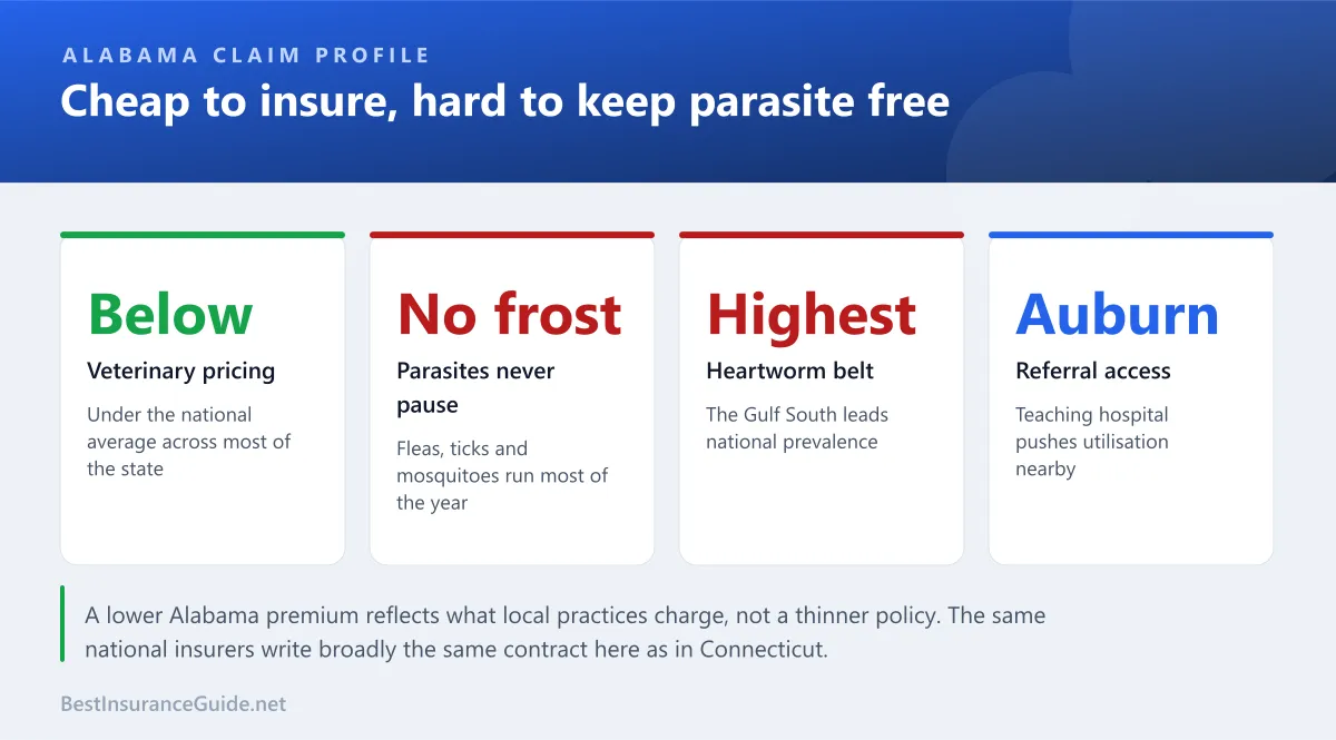 Statistics panel showing what drives pet insurance pricing in Alabama, including below-average veterinary costs, metro concentration and year-round parasite pressure