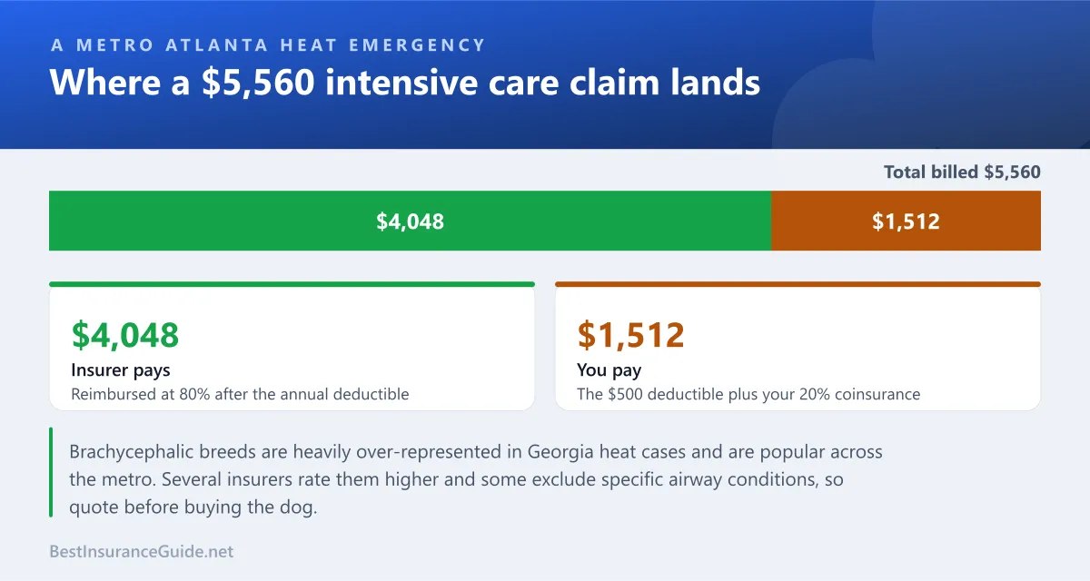 Split showing how a $6,140 Atlanta heat emergency claim divides between the insurer and the owner