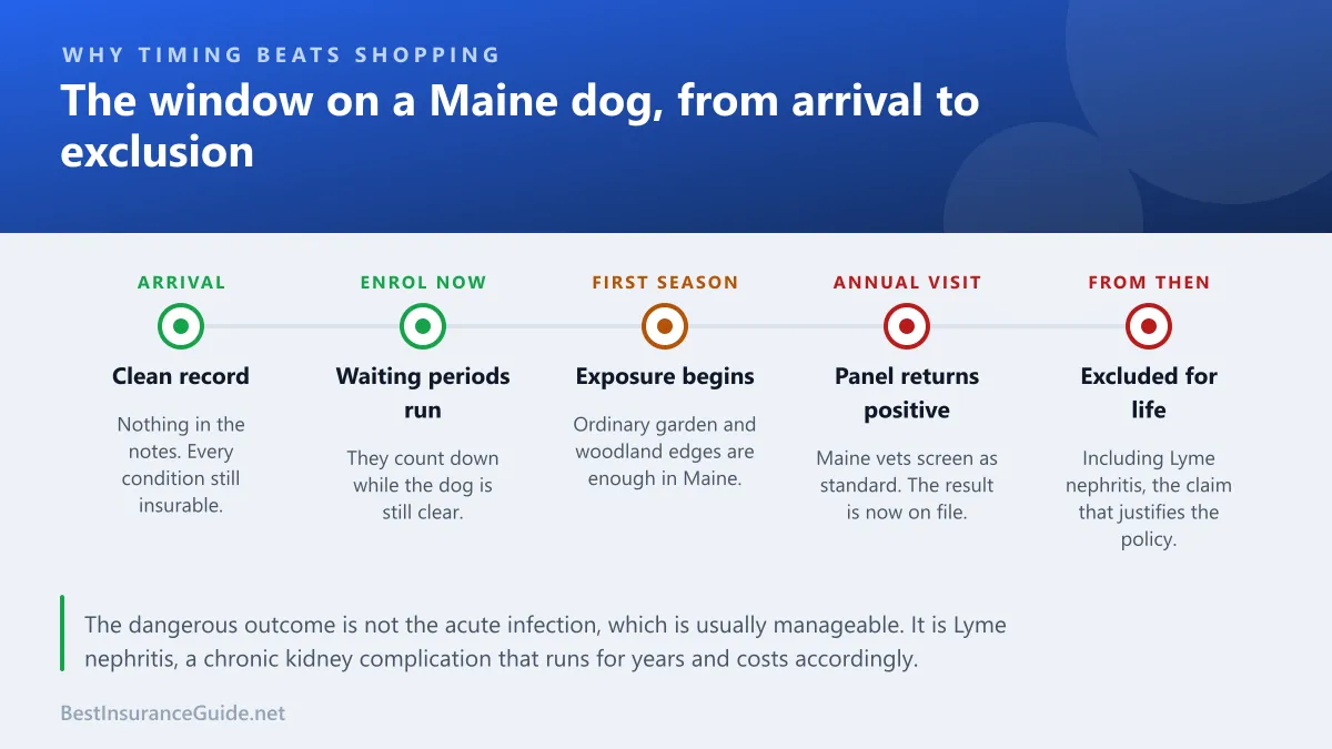Timeline showing how the enrolment window closes for a Maine dog once a routine tick panel returns a positive result