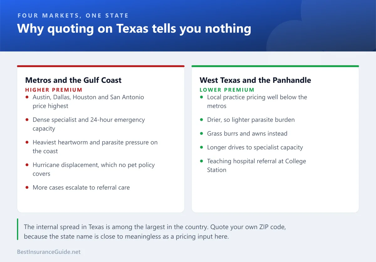 Comparison panel showing how dog insurance differs across Texas metros, the Gulf Coast, East Texas and West Texas on premium, specialist access and dominant risks