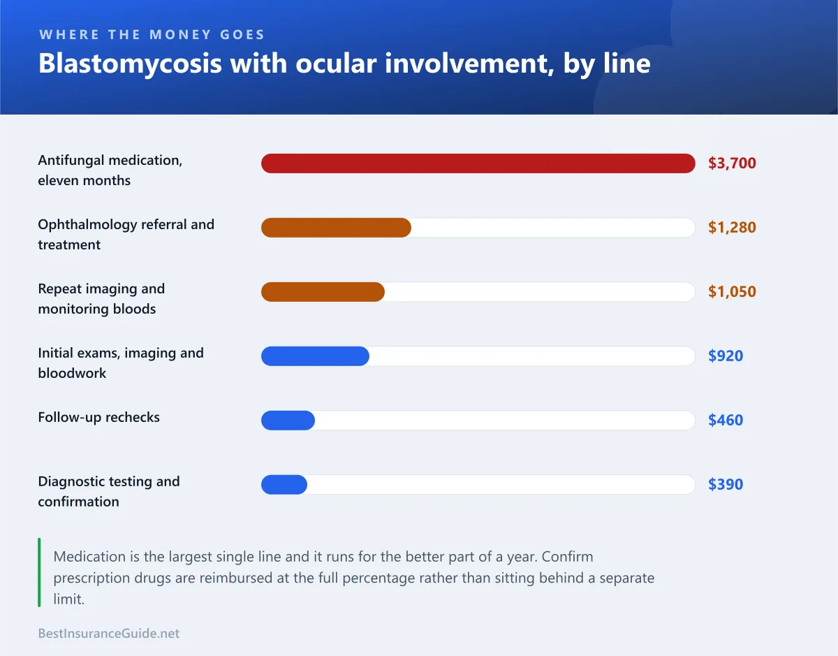 Bar chart breaking a Wisconsin blastomycosis claim into its cost lines, with long-course antifungal medication the largest single component