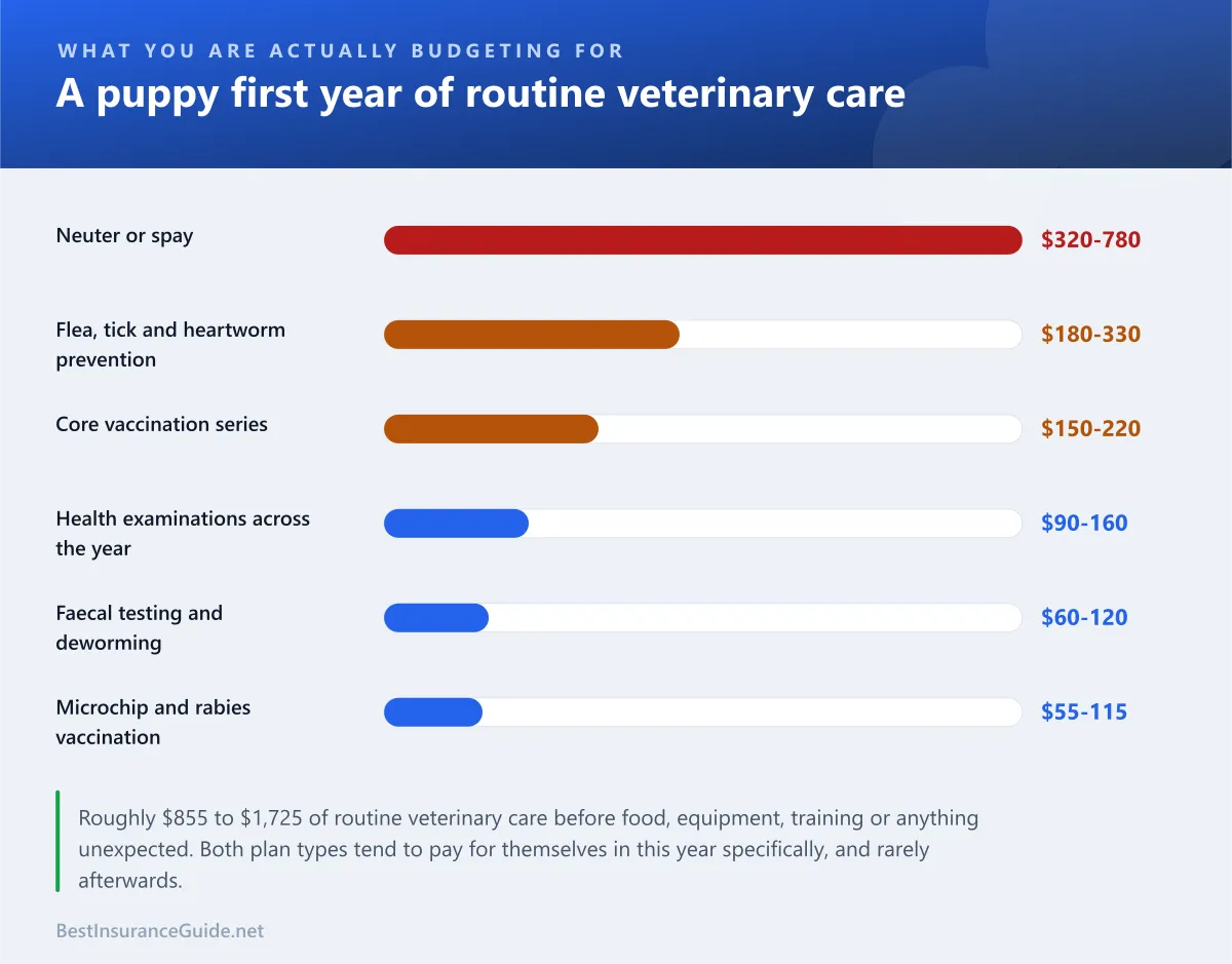 Bar chart showing typical first-year puppy veterinary costs by item, with the neuter and vaccination series the largest components