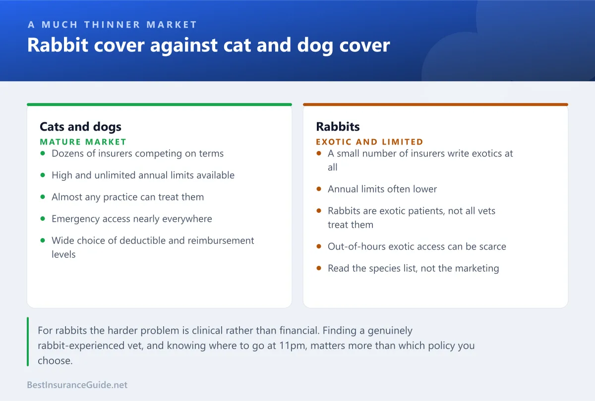 Comparison panel showing how rabbit insurance differs from dog and cat cover on availability, annual limits, vet access and claim profile