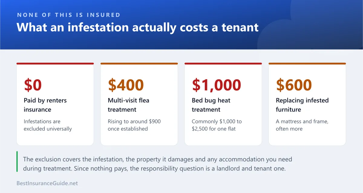 Statistics panel showing which pest-related losses are excluded from a renters policy, including the infestation itself and any resulting property damage