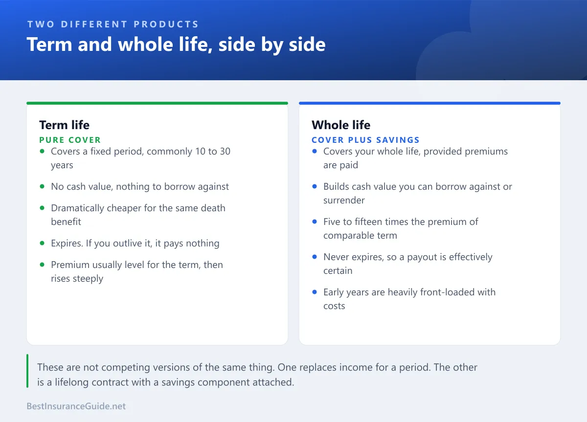 Comparison of term life and whole life insurance side by side, covering duration, cash value, cost, expiry and premium structure
