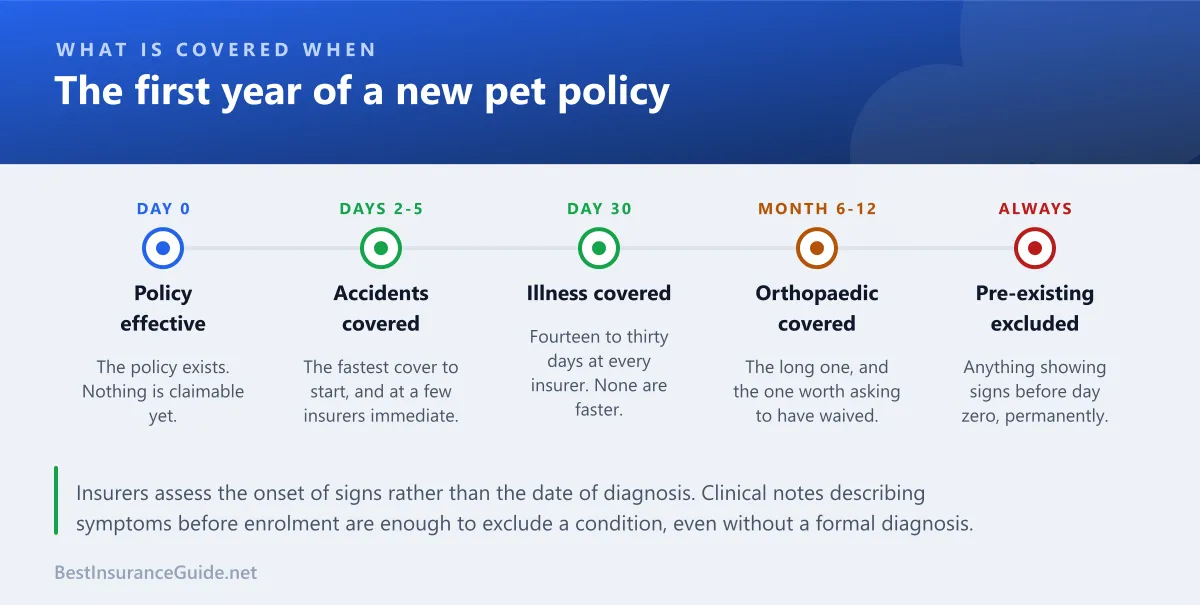 Timeline showing what is covered at each stage after a pet policy starts, from the accident waiting period through illness cover to the orthopaedic waiting period ending