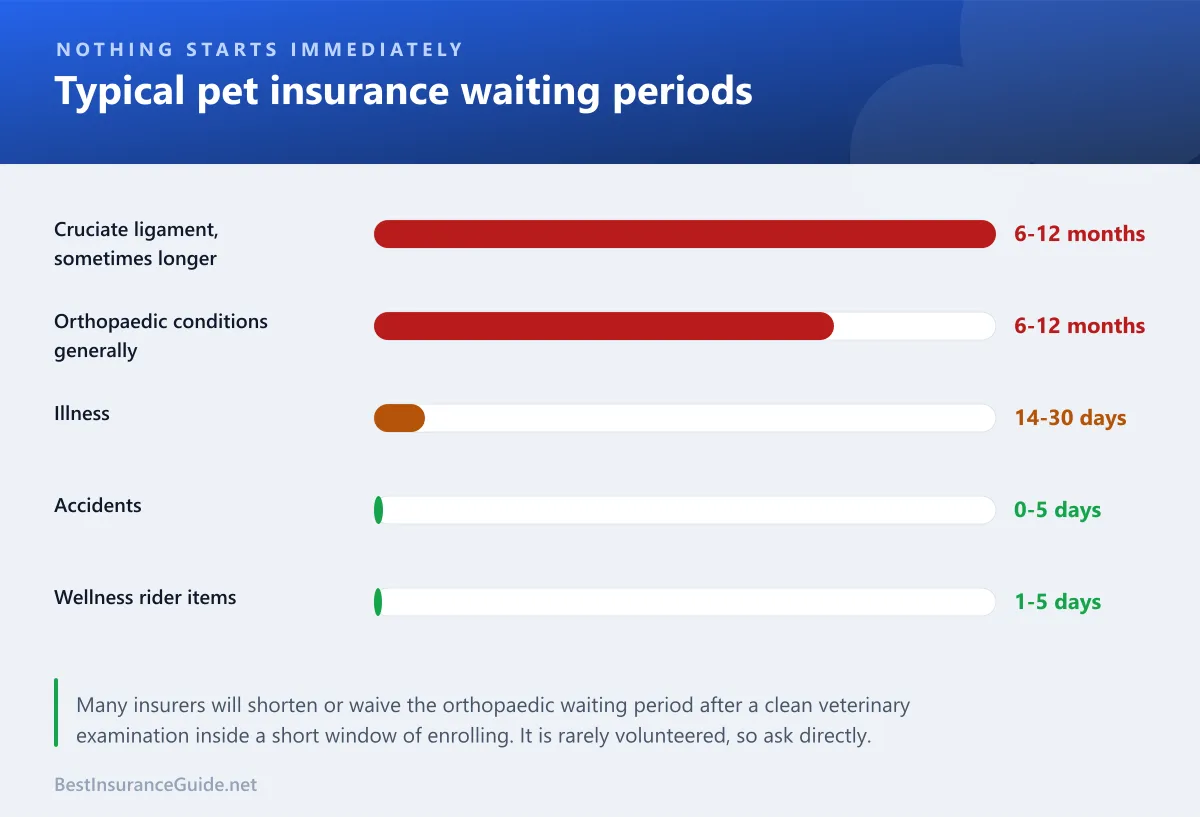 Bar chart comparing typical pet insurance waiting periods for accidents, illness, orthopaedic conditions and cruciate ligament injuries